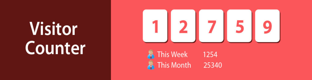Web Metrics Tool Used to Monitor Number of Website Visitors | Counter